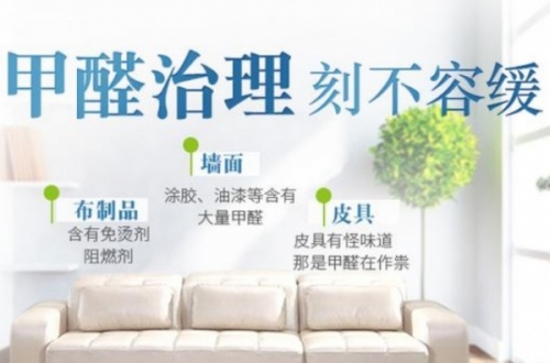 宁乡除甲醛公司